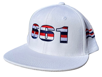 The 661